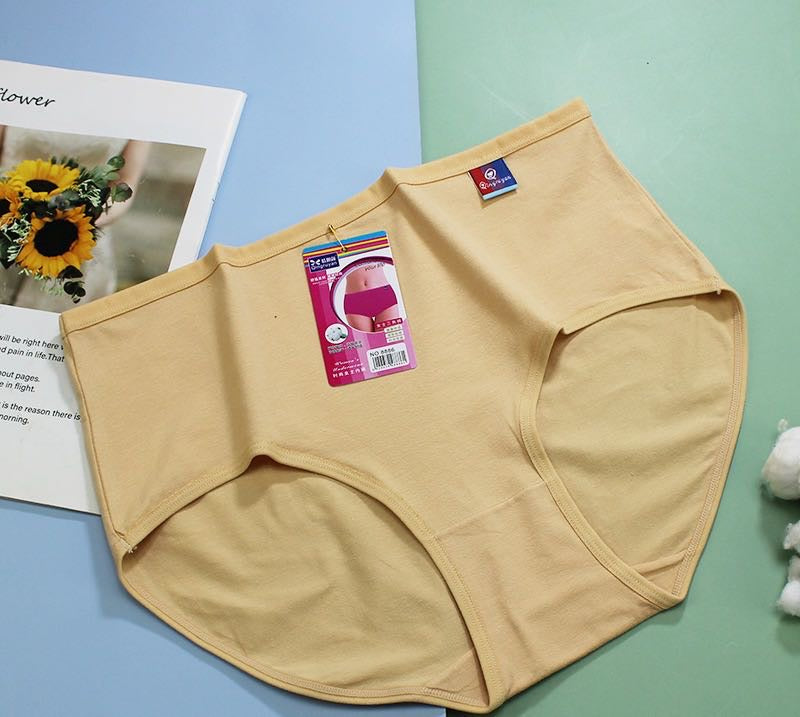 Wholesale Women's Comfort Cool Cotton 10 Panties Lot
