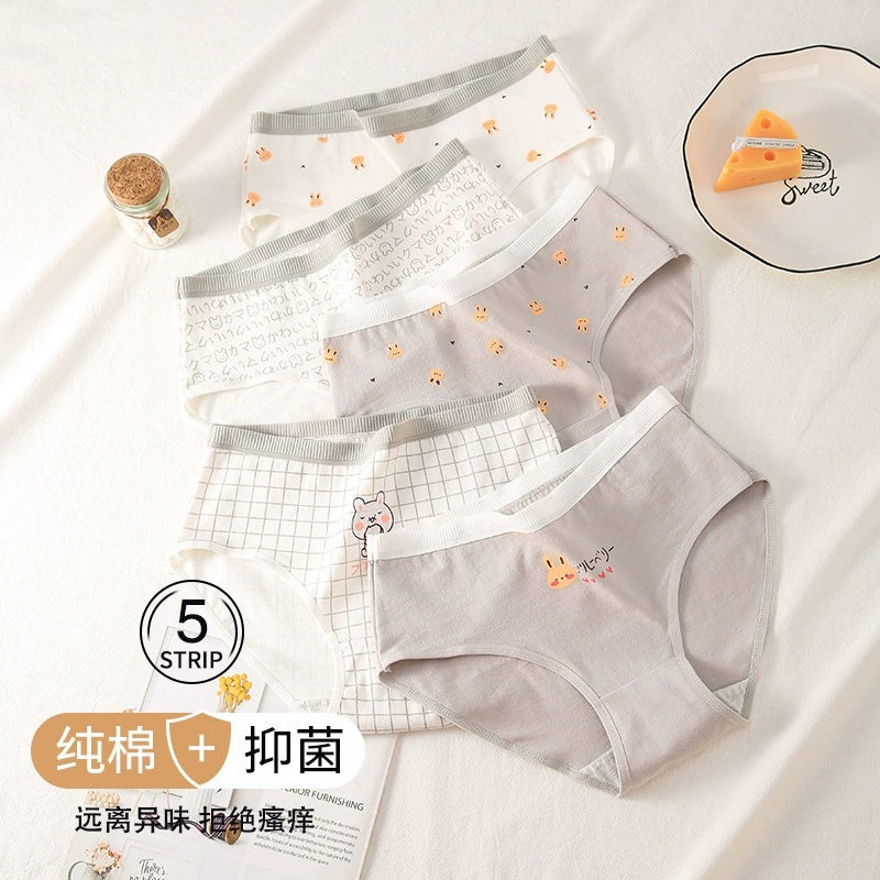 5-Piece Grey Rabbit Set Women's Cotton Underwear