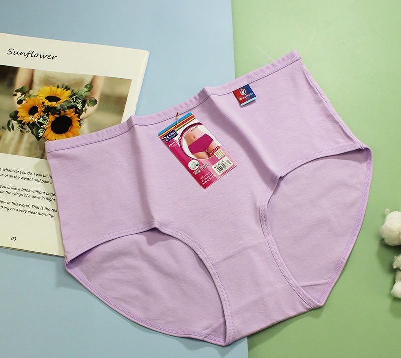 Ladies Seamless Underwear Wholesale - Medium