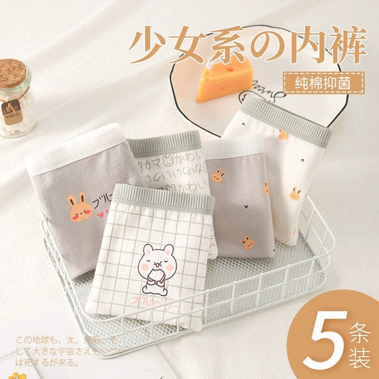 5-Piece Grey Rabbit Set Women's Cotton Underwear