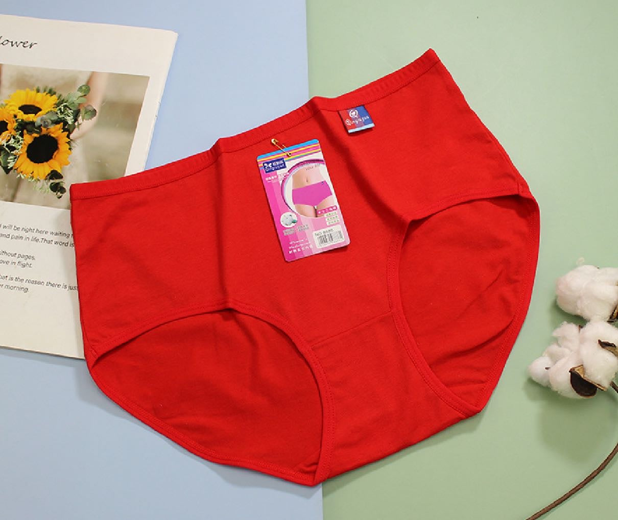 Women's Mid-Waist Wholesale Women's Briefs Foreign Trade Panties